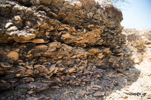 A 3 day Offbeat Kutch
