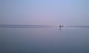 Chandipur Beach – Uncovering the Mystery of the Vanishing Beach