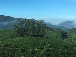 <u>Munnar: Amidst Mist</u>