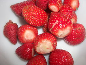 Samsing_ Strawberry Village In East Himalaya Near Dooars