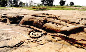 Largest Rock-Cut Structure of Lord Vishnu