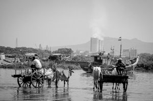 A day at Arabian coast: Life of fishermen