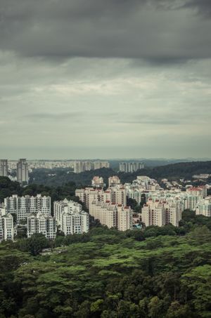 Bukit Timah Singapore 1/3 by Tripoto