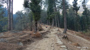 Kedarkantha - Sankri to Juda-ka-Talab
