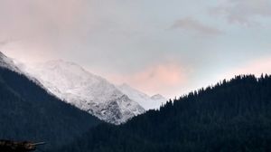 The Kasol Affair!