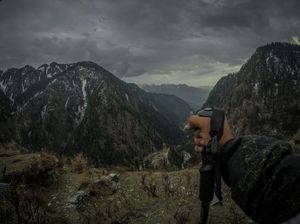 Parvati Valley | A Walk in the woods