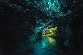 Experience caves with glowworms as living lights- your chance to view a million stars