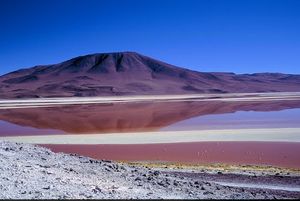 Laguna Colorada 1/1 by Tripoto