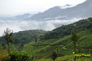 4 Adventurous, 5 Romantic & 2 Historical Road Trips from Bangalore