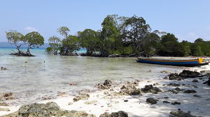 Andamans: Rediscovering a bond