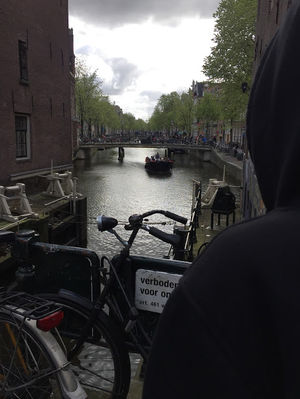 Why every woman should go on a solo trip to Amsterdam?