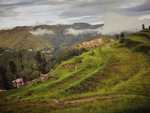 RoadTrip to Heavenly Designed Homestay in between the Hills & Lap of Himalayas – Mukteshwar