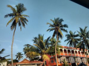The Offbeat Kerala Travelogue