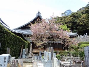 All things Japan