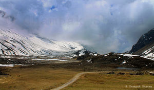 Road to Paradise: Exploring North Sikkim-Yumthang Valley & Zero Point