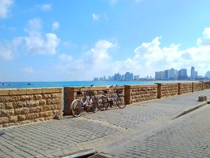 Hummus, Oranges and the Mediterranean Blue - Shalom Israel!