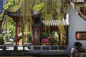 Hidden China Bustling Sydney