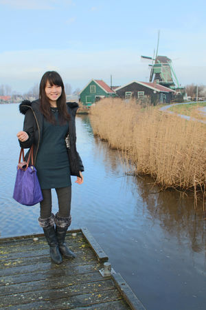 HALF-DAY TRIP FROM AMSTERDAM: ZAANSE SCHANS