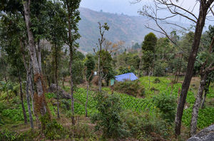 A Complete Travel Guide on Bara Mangwa, weekend destination from Kolkata