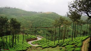 God's own country ... The Kerala !