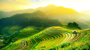 Bali.. The Jewel of Indonesia