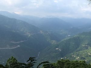 Timber Trail - An Ideal Getaway from Chandigarh..