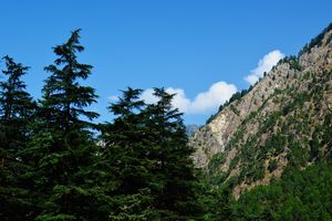 Body, Mind & Kasol