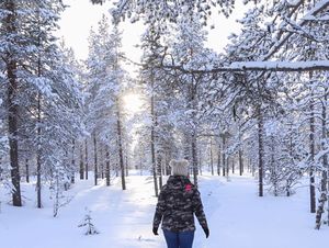 Husky Sledding, Ice Fishing, Snow Sauna And Other Incredible Winter Activities I Did In The Arctic