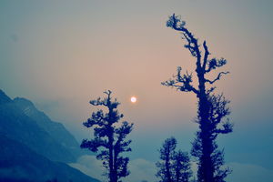 The ultimate guide to Indrahar Pass Trek in monsoon