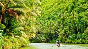 Explore the diverse wildlife and tranquil nature at its best: Amazon Rainforest