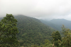 Panchalimedu For The View of Misty Mountains, A Travel guide
