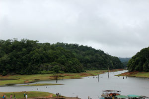 What To See And Explore In Thekkady
