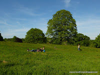 Hampstead Heath 1/1 by Tripoto