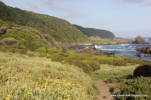 SA road trip (2): Garden Route and Cape Town