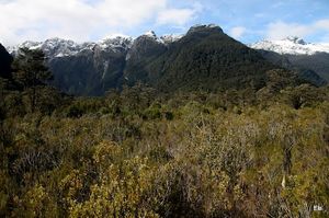 Milford Track 1/1 by Tripoto