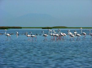 Odisha, Paradise for Tourist