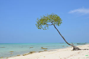 A Complete Guide to Andaman & Nicobar Islands