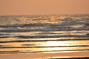 Exploring The Beauty Of Konkan