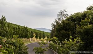 A beautiful day in Yarra Valley
