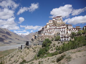 The Ripe of Raw Spiti