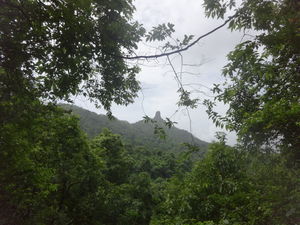Karnala fort & bird sanctuary Jungle trek