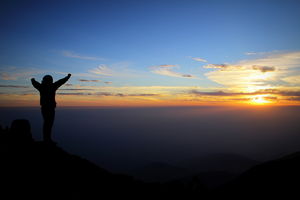 Whispers in the Mountains, Exploring McLeod Ganj | Triund