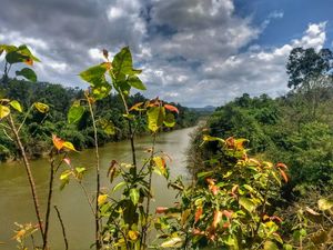 Weekend getaway drive - Bangalore - Mullayangiri - Kudremukh - Mangalore road forest - Bangalore