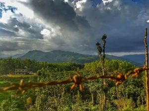 Weekend getaway drive - Bangalore - Chikmagalur- Mullayangiri - Kudremukh - Bangalore || Nature Love
