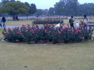 Chandigarh- The City Beautiful