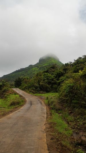 Mansoon Trek To Tikona