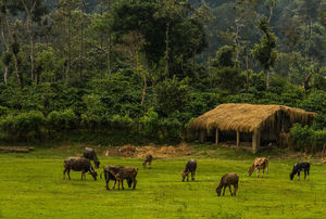 Where to head this monsoon - Places to Visit in India in August