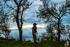 A ride to From Coimbatore to Vattakanal, A paradise in Kodaikanal