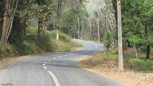 Wayanad – Weekend Getaway