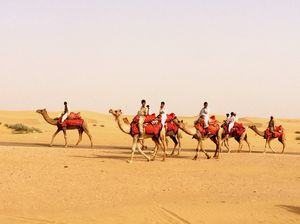 To the golden city, Jaisalmer